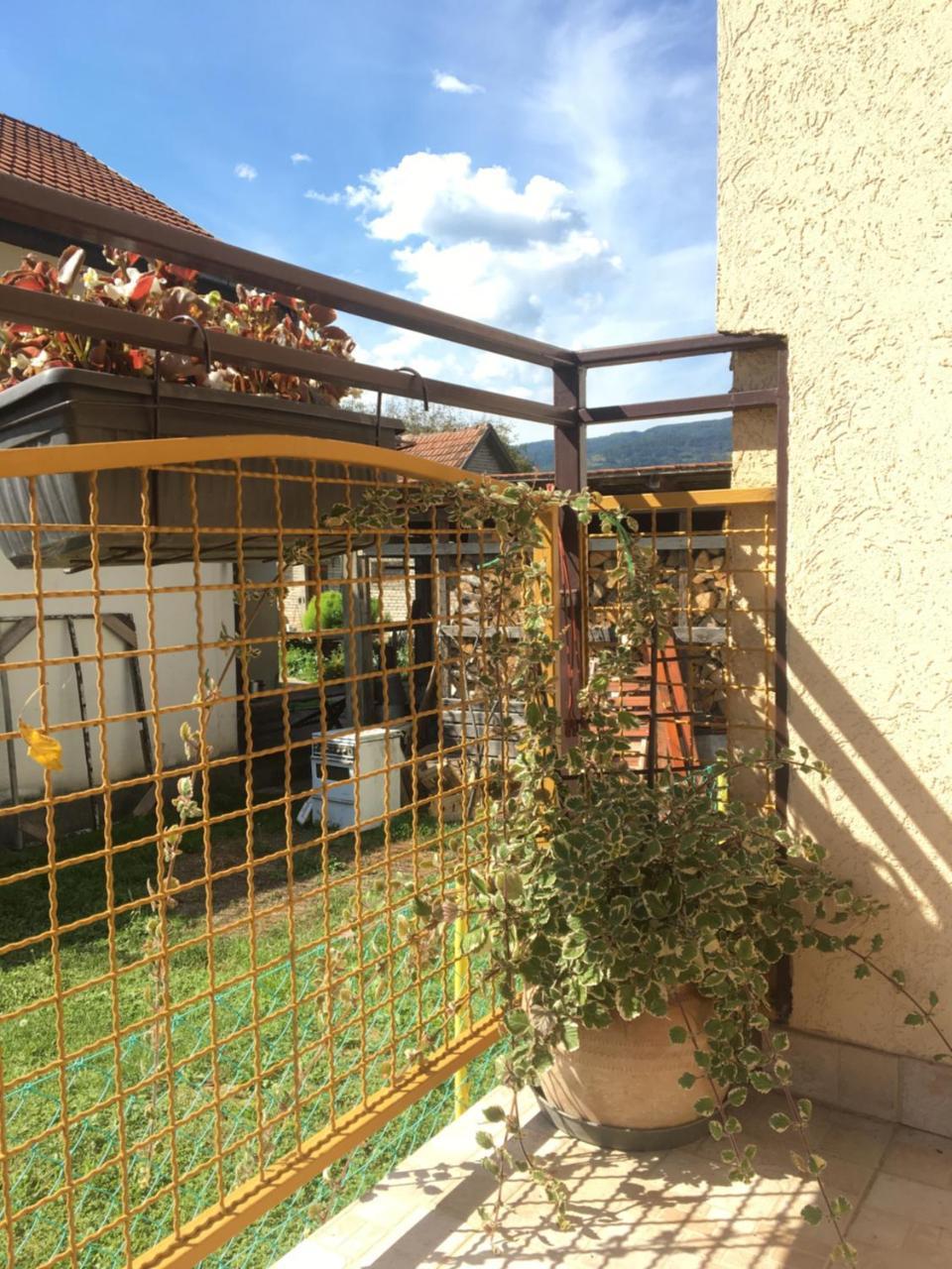 Zvezdica Appartement Bajina Basta Buitenkant foto