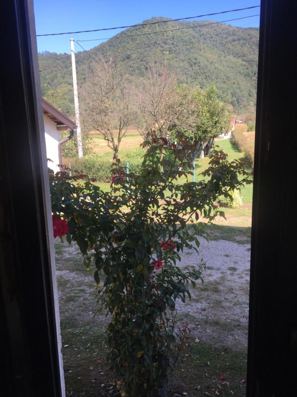 Zvezdica Appartement Bajina Basta Buitenkant foto